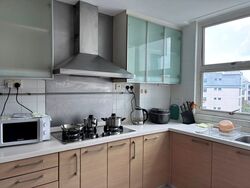 Dahlia Park Condominium (D17), Condominium #602953161